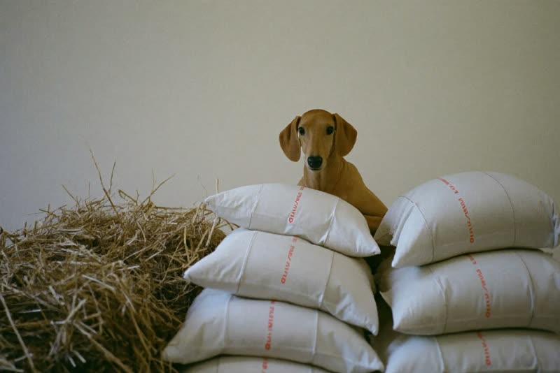 Stacked feed sacks and a straw bale in a barn-style store